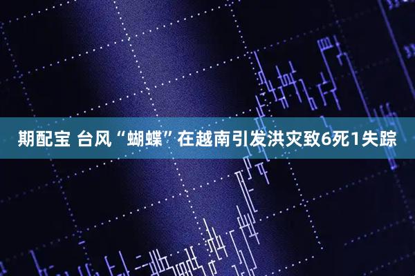 期配宝 台风“蝴蝶”在越南引发洪灾致6死1失踪