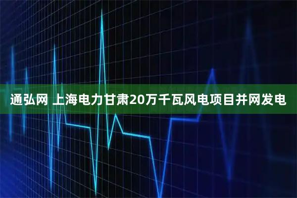 通弘网 上海电力甘肃20万千瓦风电项目并网发电