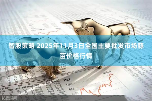 智股策略 2025年11月3日全国主要批发市场蒜苗价格行情