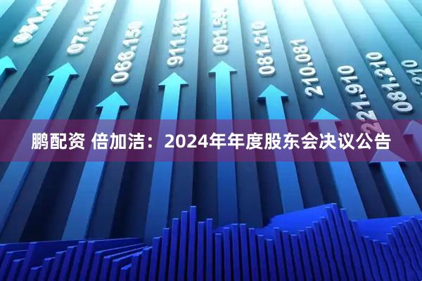 鹏配资 倍加洁：2024年年度股东会决议公告
