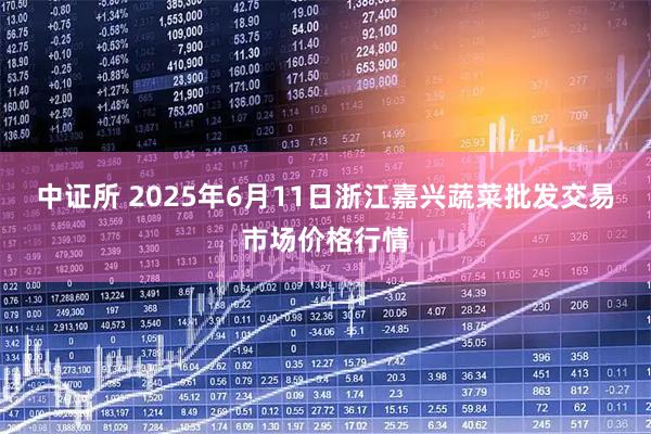 中证所 2025年6月11日浙江嘉兴蔬菜批发交易市场价格行情