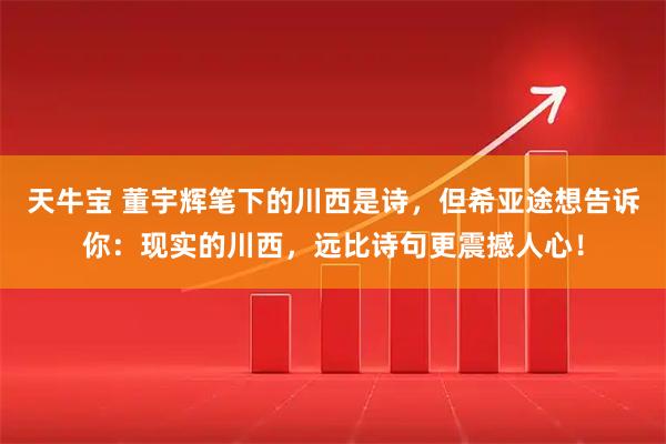 天牛宝 董宇辉笔下的川西是诗，但希亚途想告诉你：现实的川西，远比诗句更震撼人心！